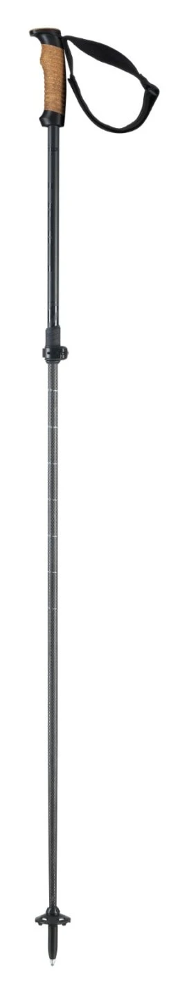 Elan Voyager Pole Vario