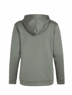 Protest W Prttwig Hoody -Duijvestein Verkoop PRTTWIG Hoody Mistygreen back 1